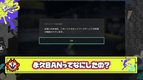 【疑問】スプラ永久BANとかになるヤツって具体的にどんなことしてるの？